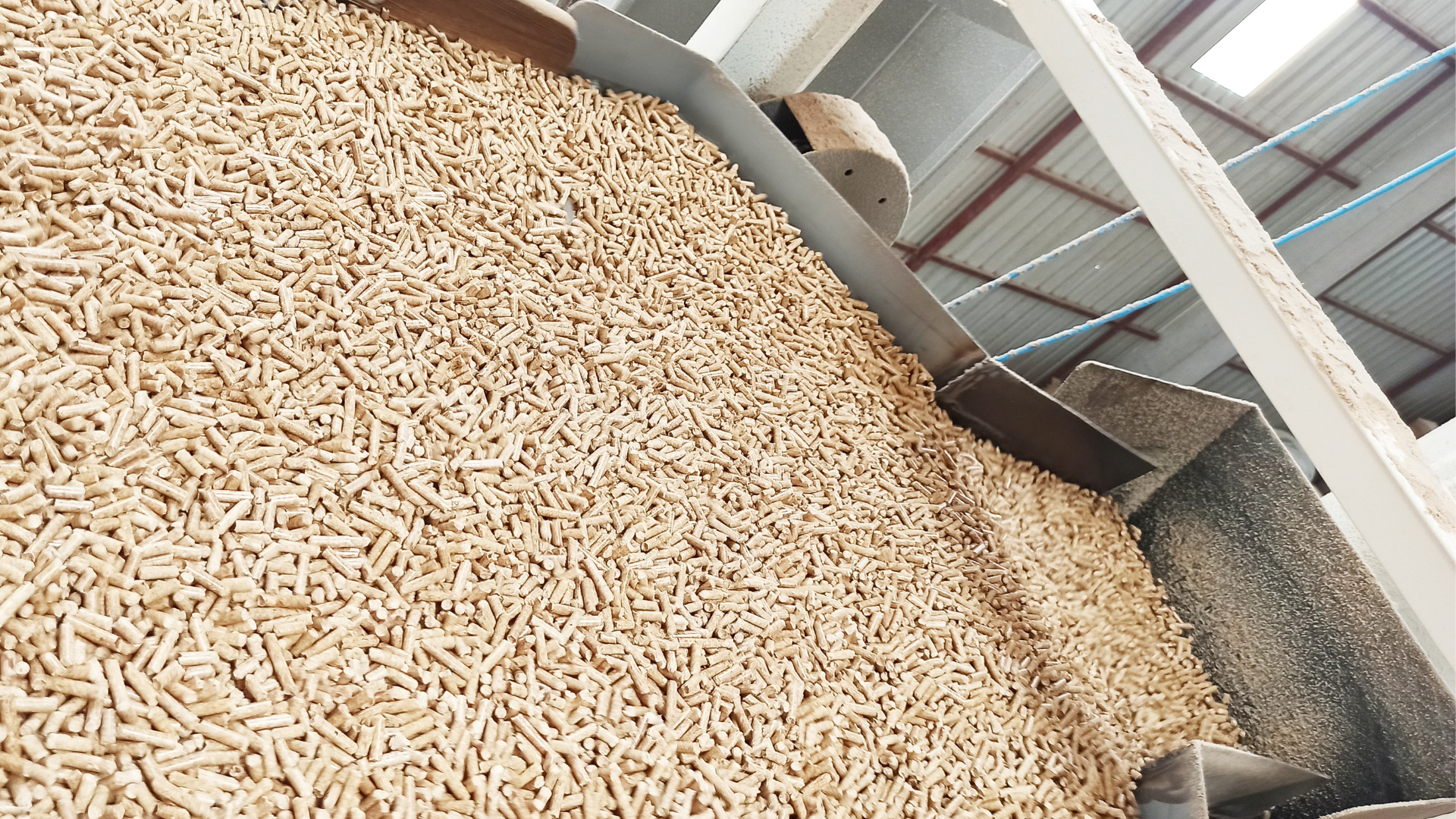 pelletizing wood pellet