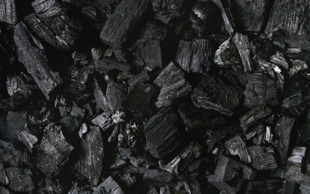 Hardwood Lump Charcoal in Premium BBQ: Heat Control, Flavor, and Cost