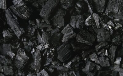 Hardwood Lump Charcoal in Premium BBQ: Heat Control, Flavor, and Cost
