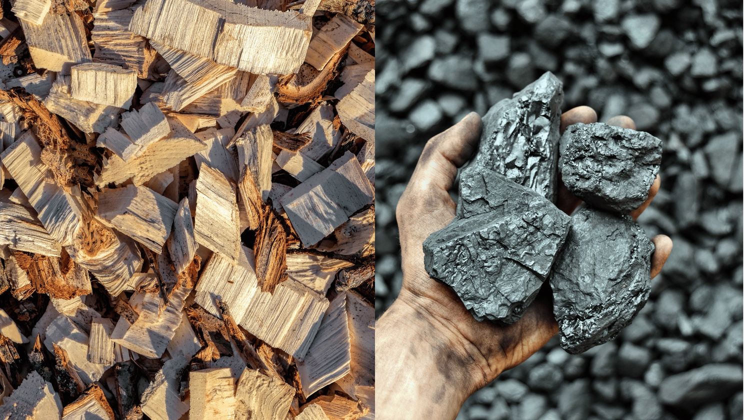 pelletizing wood pellet