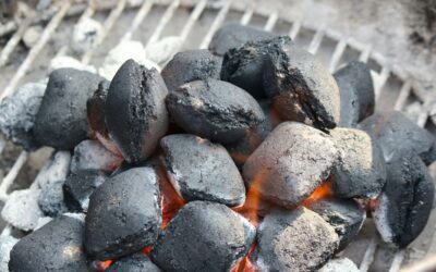How International Buyers Evaluate BBQ Charcoal Briquette Suppliers