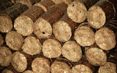 Wood Briquettes vs Charcoal Briquettes: Differences, Uses, and Buyer Considerations