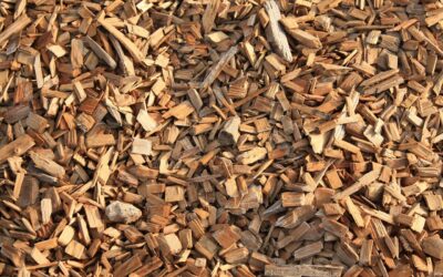 Using Wood Chips vs Pellets in Industrial Heating Systems