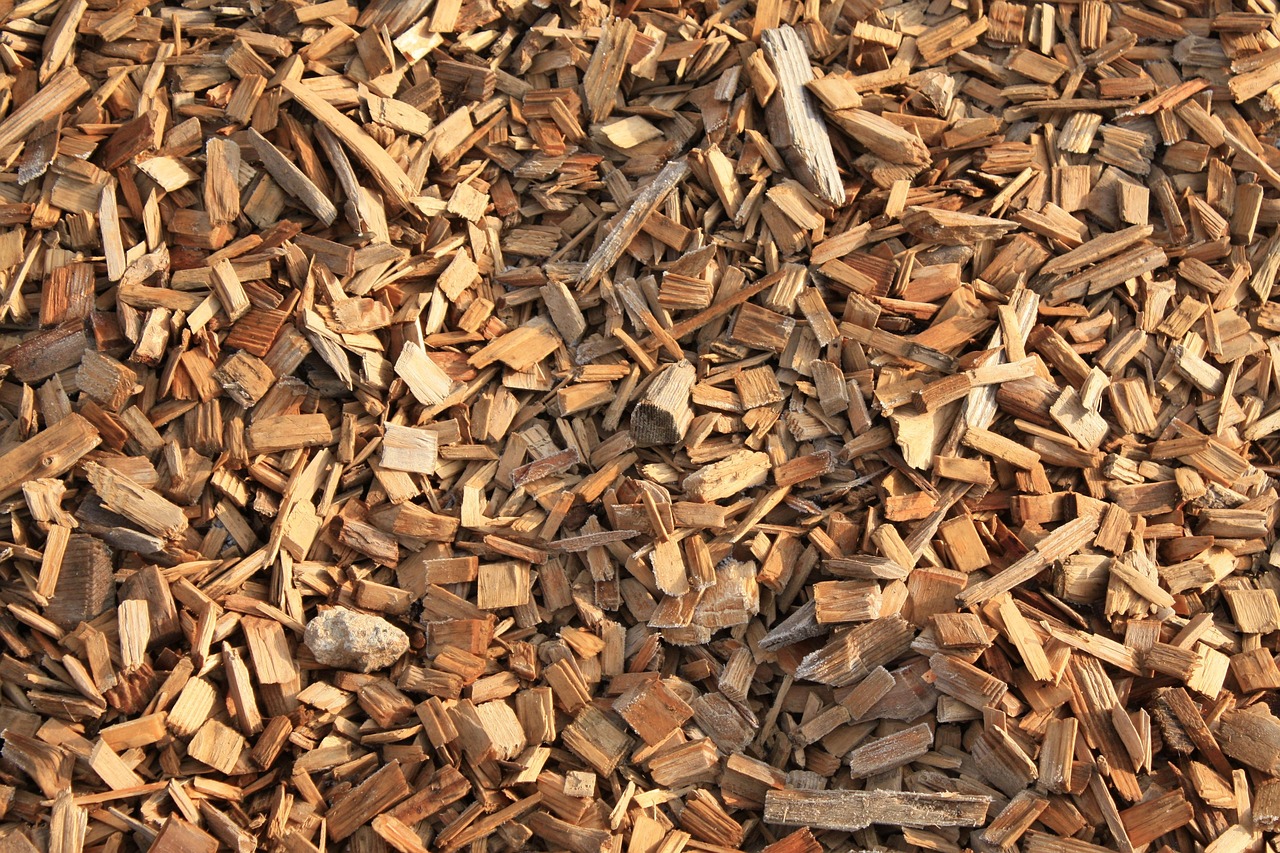 pelletizing wood pellet