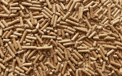 Supplying Non-ENplus Wood Pellets: What Power Plants and Boilers Actually Require