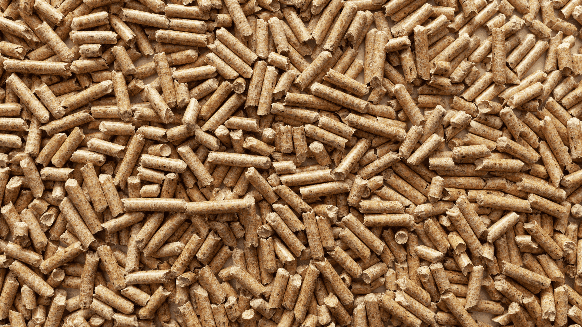 pelletizing wood pellet