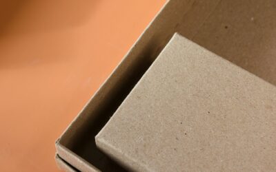 Export Packaging Options for Coconut Shell Charcoal: Bulk vs Retail